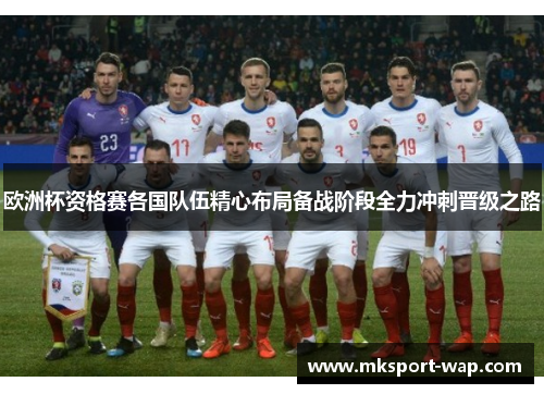 欧洲杯资格赛各国队伍精心布局备战阶段全力冲刺晋级之路