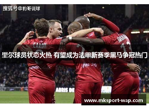 里尔球员状态火热 有望成为法甲新赛季黑马争冠热门