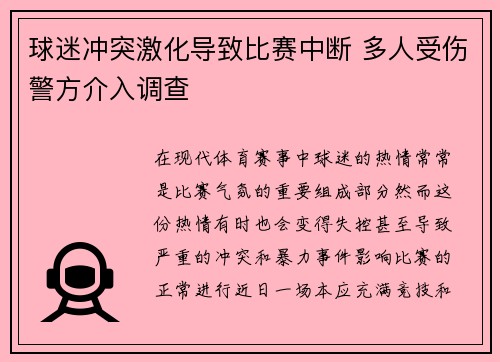 球迷冲突激化导致比赛中断 多人受伤警方介入调查
